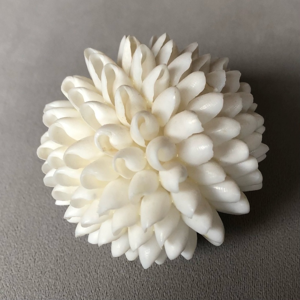 Seashell Decor ~ 3.5” ~ White - Picture 5 of 5